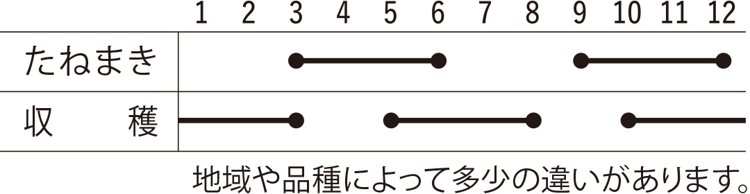 スケジュール