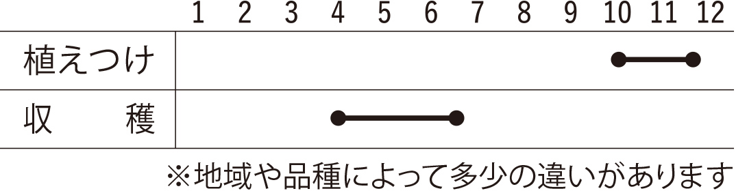 スケジュール