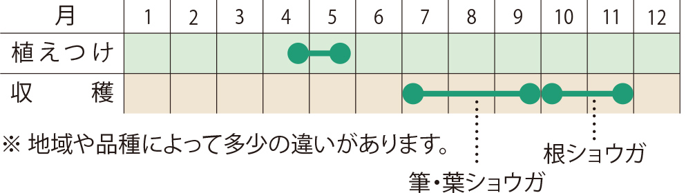 スケジュール