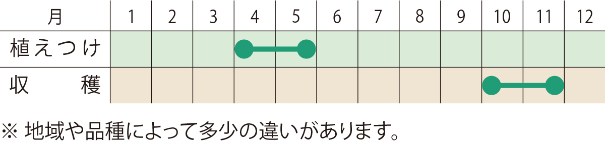 スケジュール