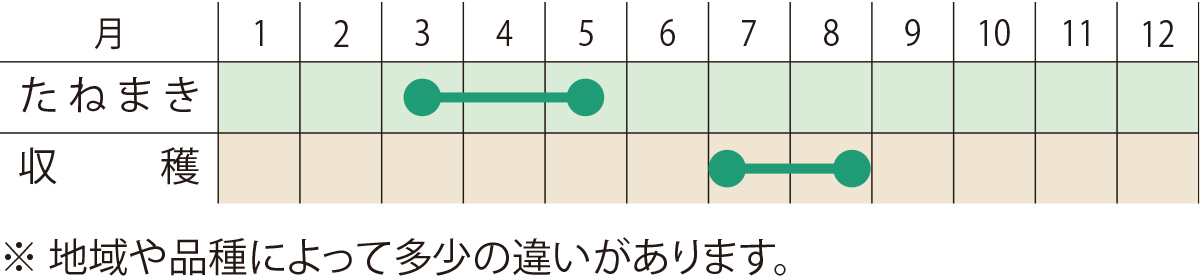 スケジュール