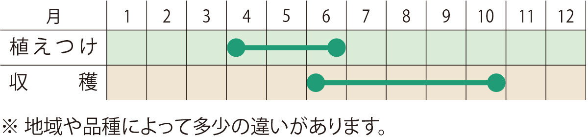 スケジュール