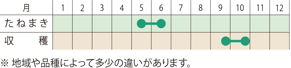 スケジュール
