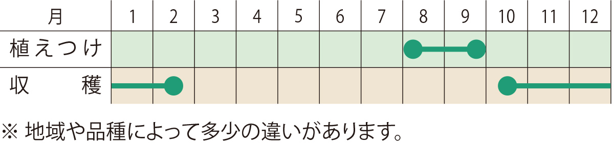 スケジュール