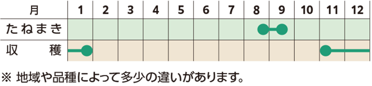スケジュール