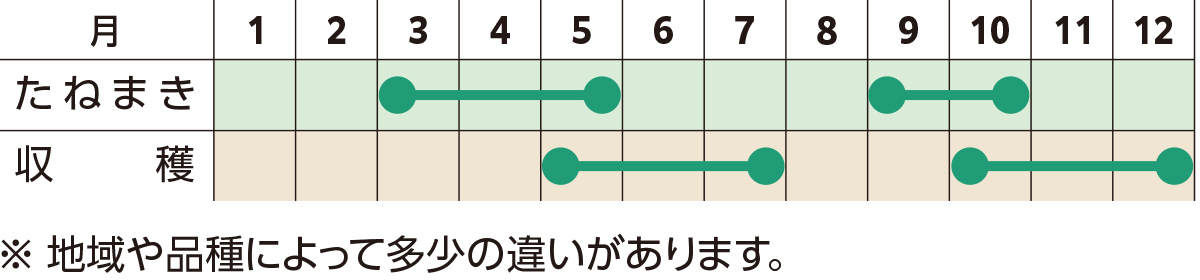 スケジュール