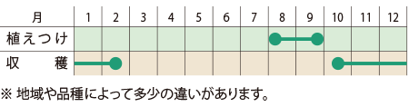 栽培スケジュール