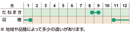 栽培スケジュール