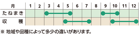 栽培スケジュール