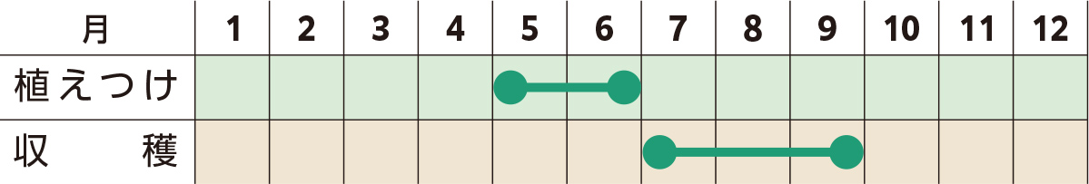 スケジュール