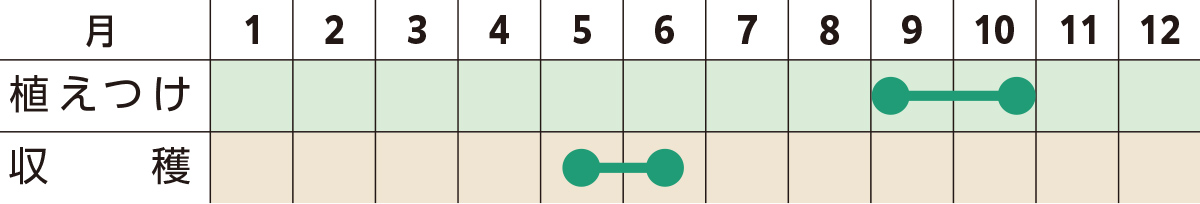 スケジュール