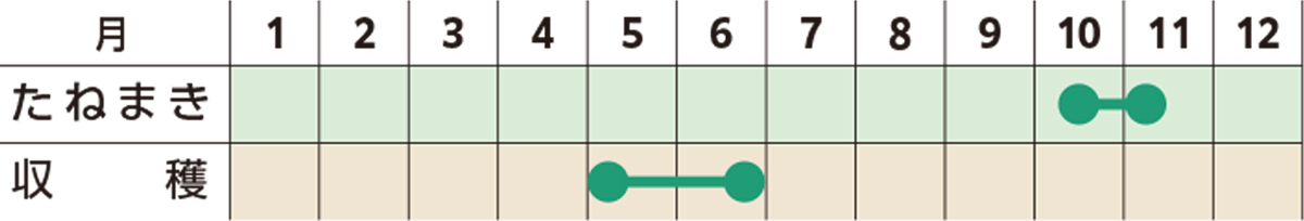 スケジュール