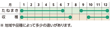 栽培スケジュール