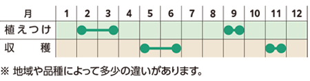 栽培スケジュール