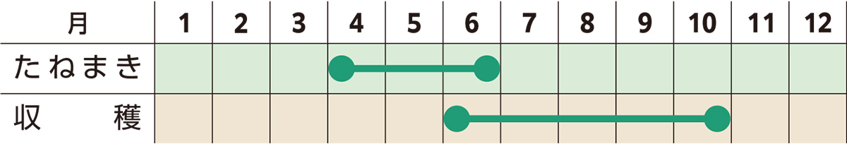 スケジュール