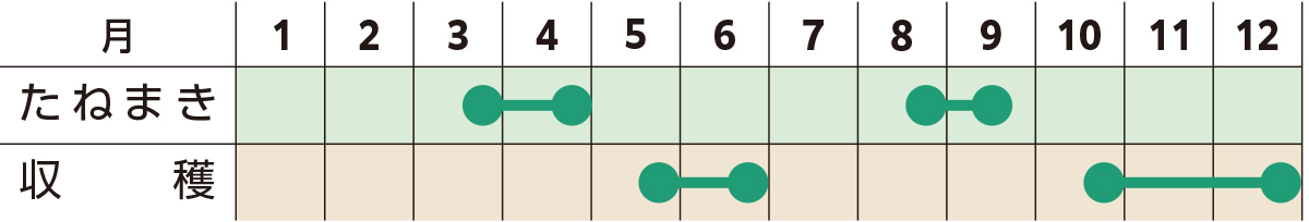スケジュール