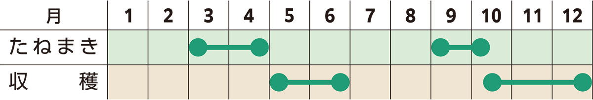 スケジュール