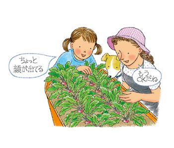 ラディッシュ わくわく菜園づくり Apron
