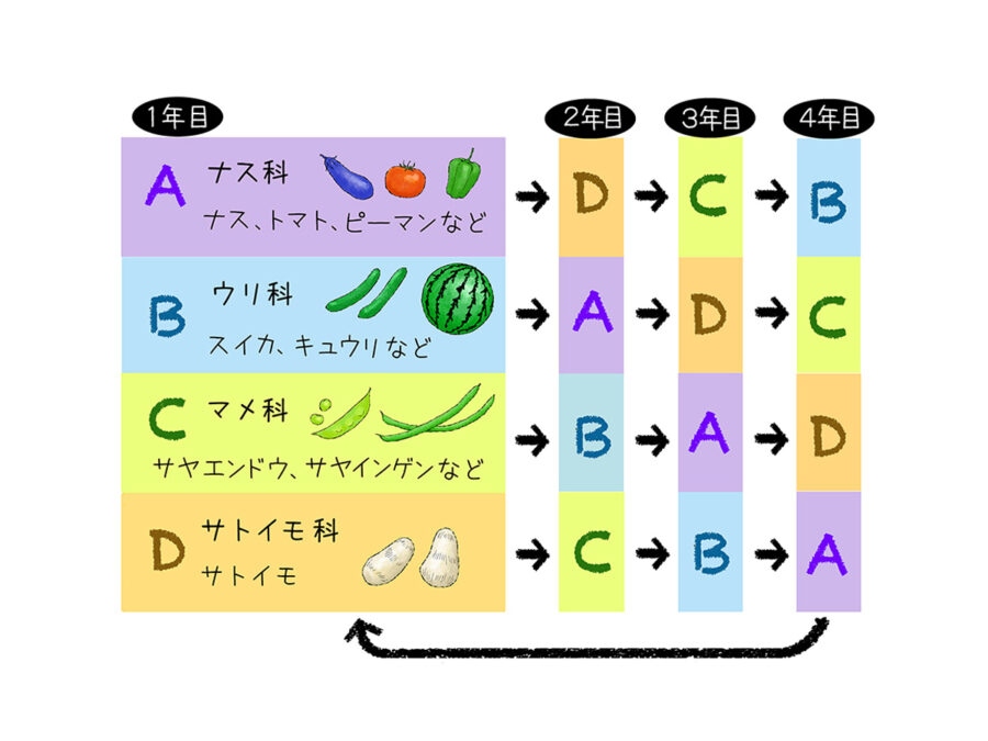 連作障害の原因と対策を教えてください - 家庭菜園Q＆A 肥料編 | 全農